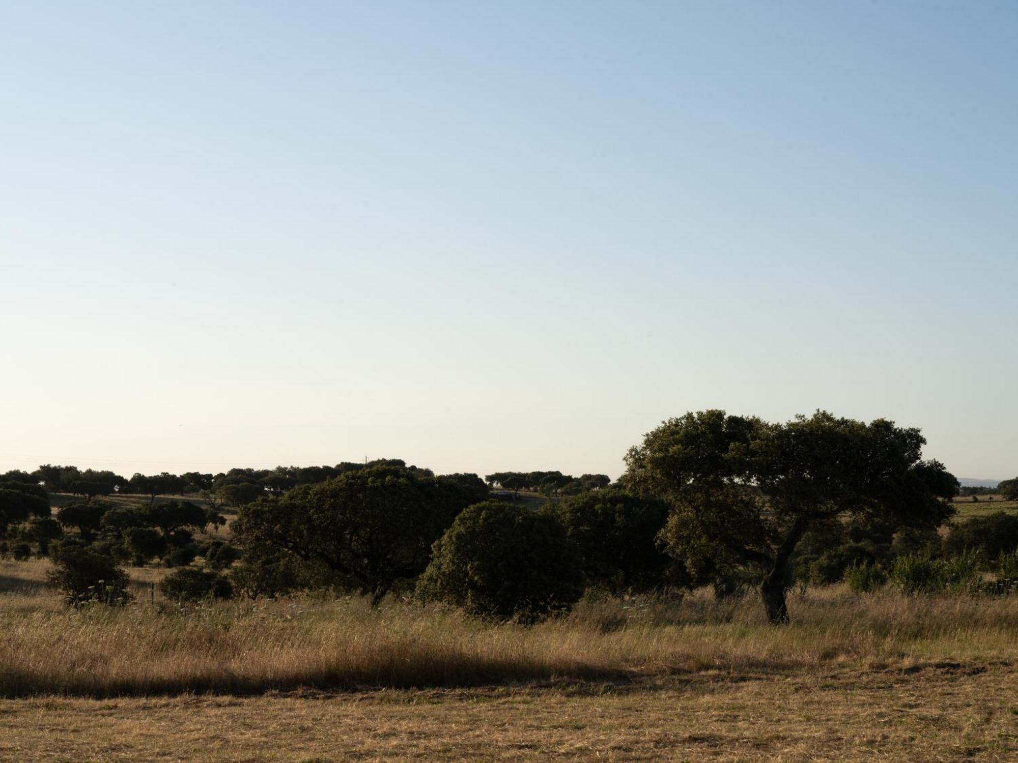 Montes Juntos Change The World - Herdade Monte Do Peral מראה חיצוני תמונה